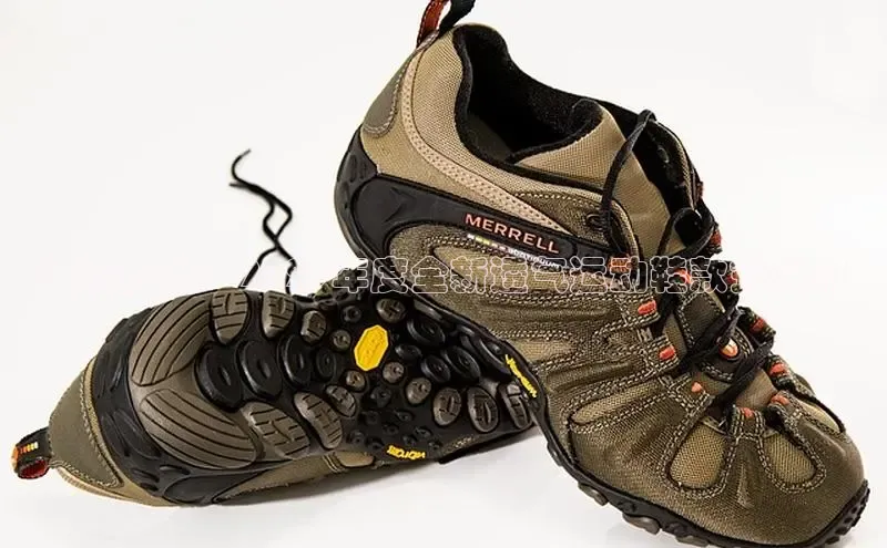 壹号大舞台官网入口下载